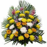 ֥ʻԤ