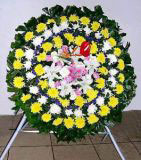 ֥ҵ