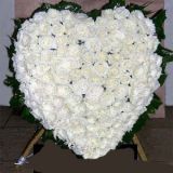 ֥ҵ